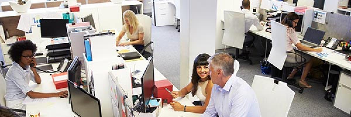 Seguros Colectivos para Empleados - Oficina con empleados trabajando frente a sus portatiles y ordenadores Seguros Colectivos para Empleados - Oficina con empleados trabajando frente a sus portatiles y ordenadores